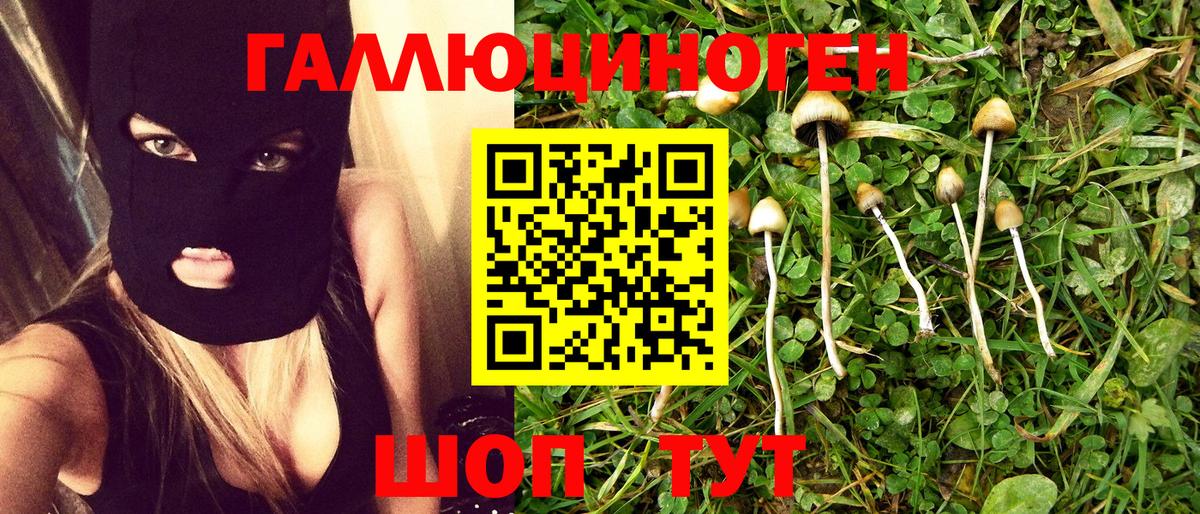 Коряжма  Галлюциногенные грибы прущие грибы  Вход с VPN  Псилоцибиновые грибы ЛСД 